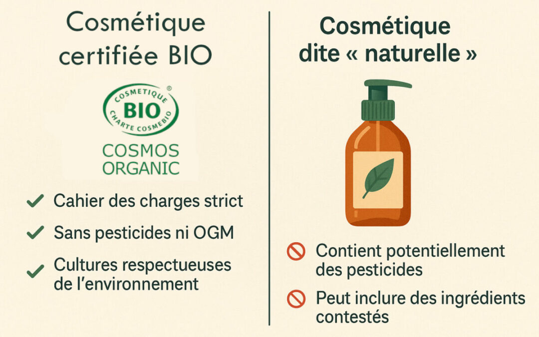 Cosmétique biologique : un engagement durable face aux reculs législatifs